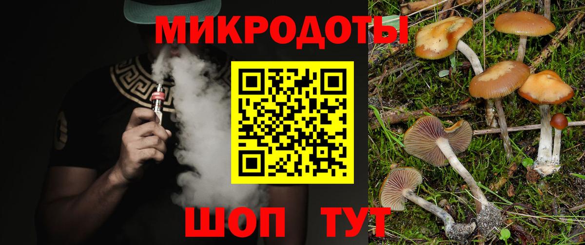 Грязи  Псилоцибиновые грибы мицелий  Вход с VPN 